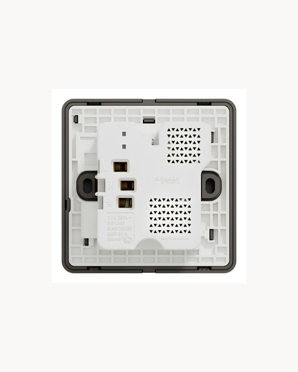 Schneider AvatarOn 13 A socket with USB A+C, both finishes, angled view
