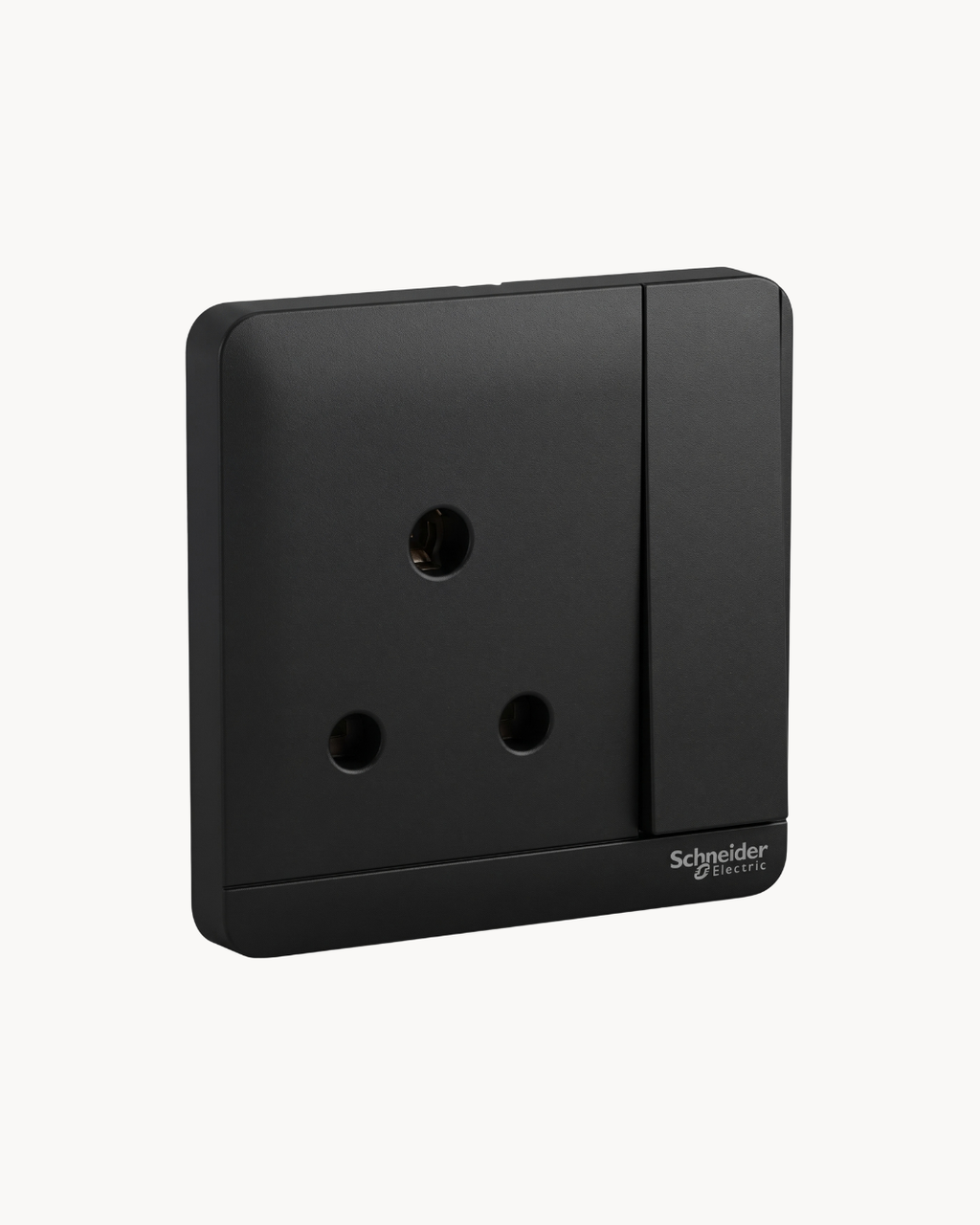 Schneider AvatarOn 15 A switched socket, Dark Grey