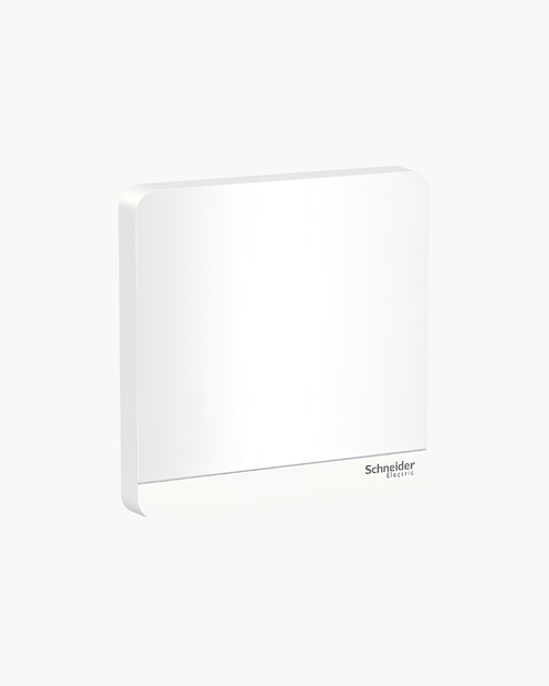 Schneider AvatarOn 1 gang blank plate, White