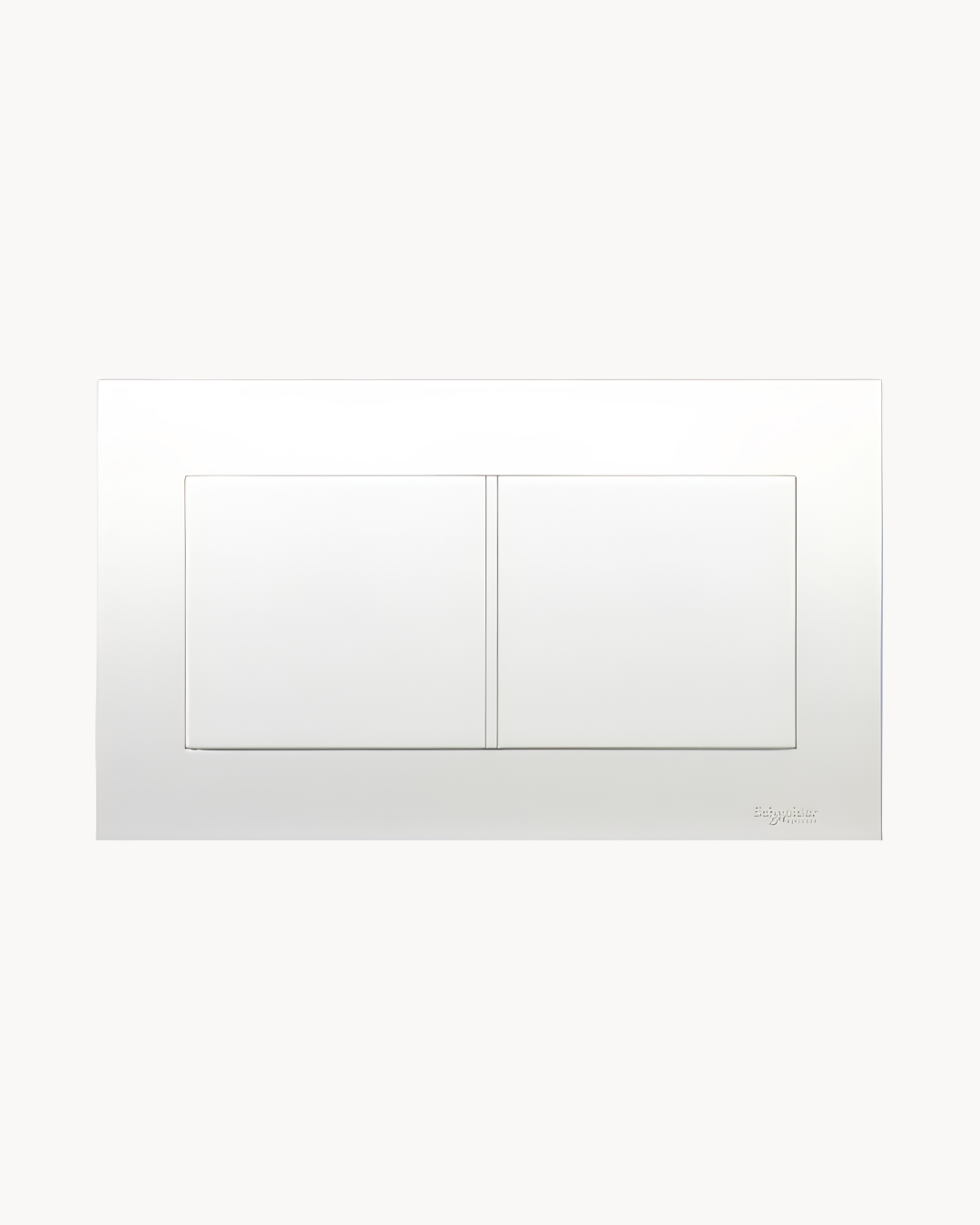 Schneider Vivace 2 gang blank plate, white