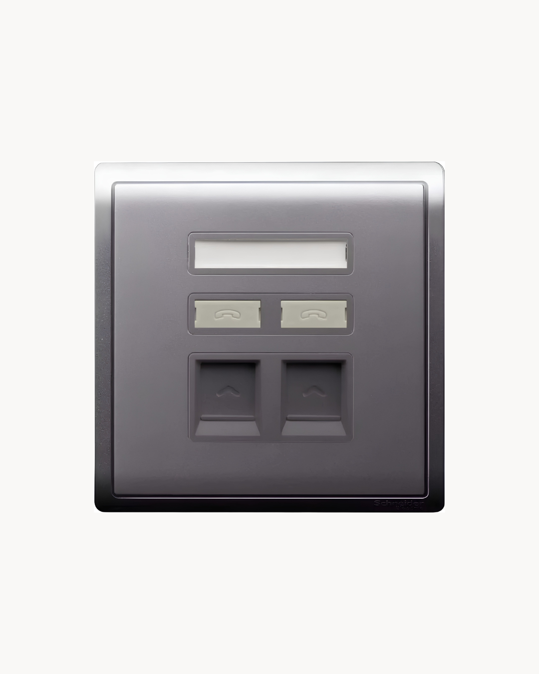 Schneider Pieno 2 gang shuttered plate, Aluminium Silver