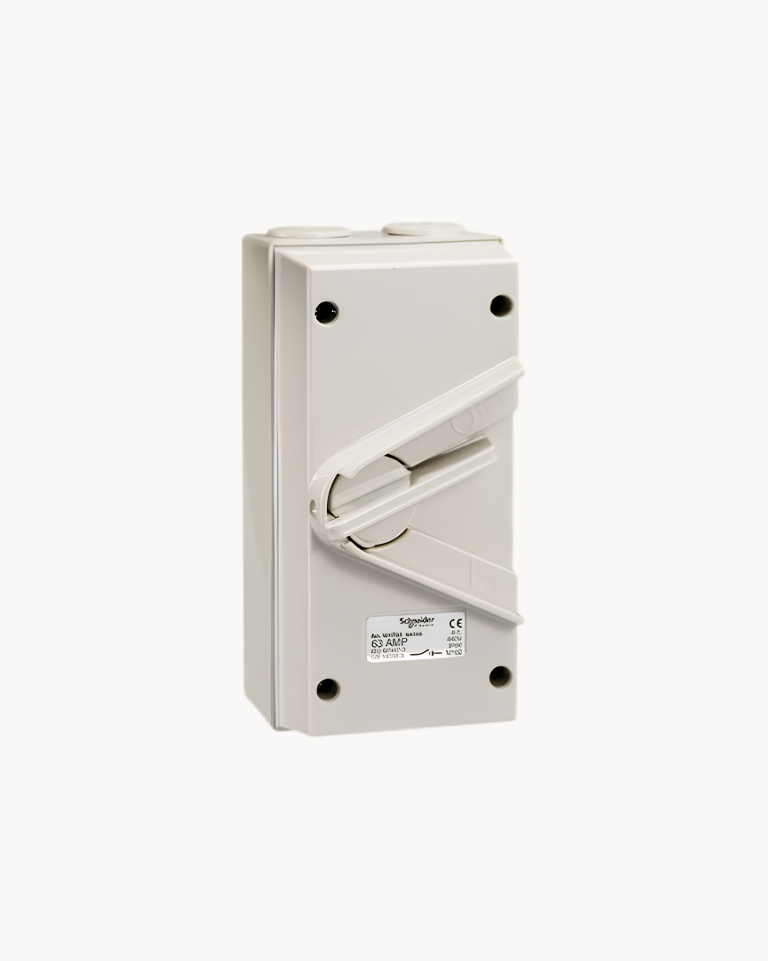 Schneider Kavacha 63 A TP weatherproof isolator