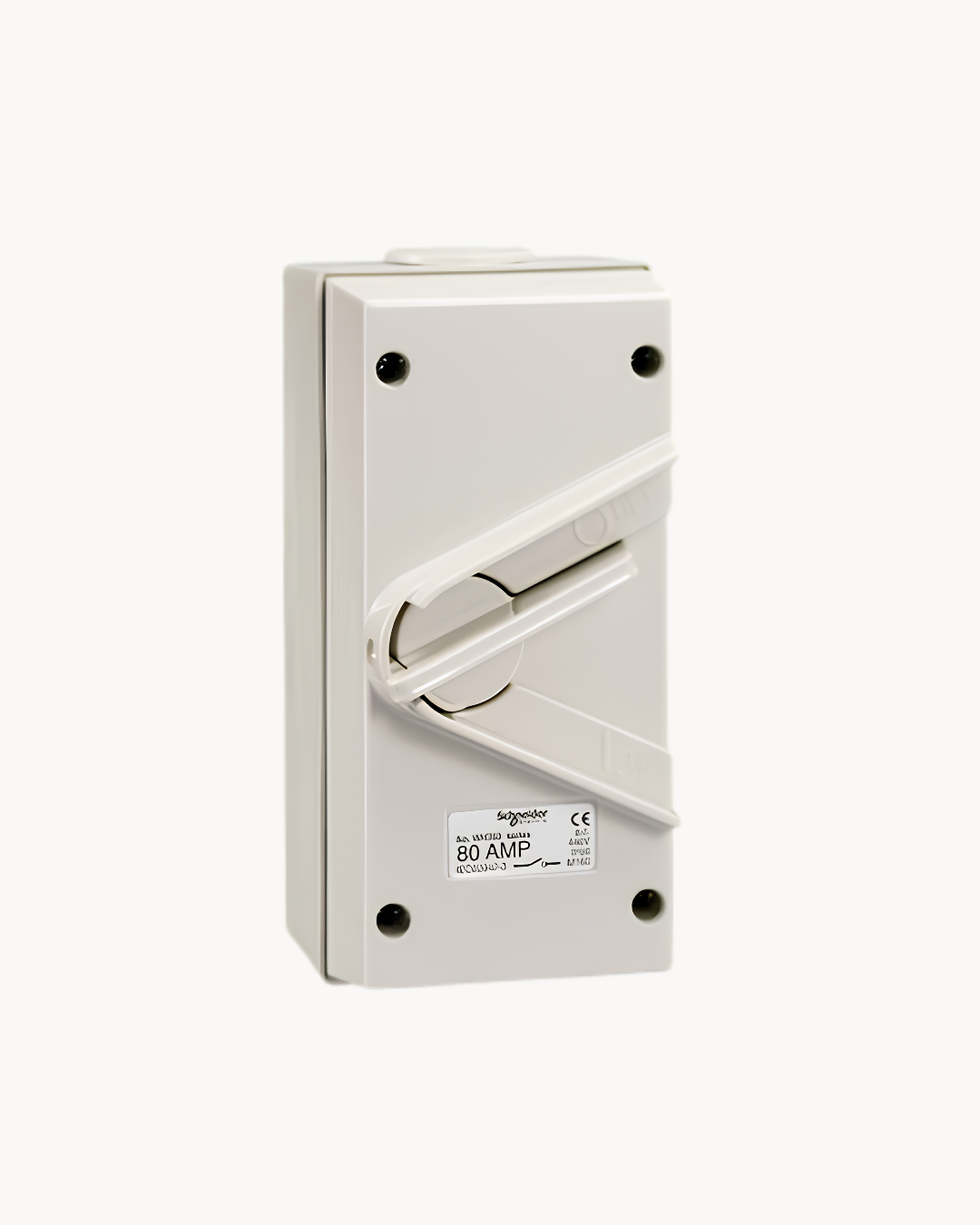 Schneider Kavacha 80 A TP weatherproof isolator