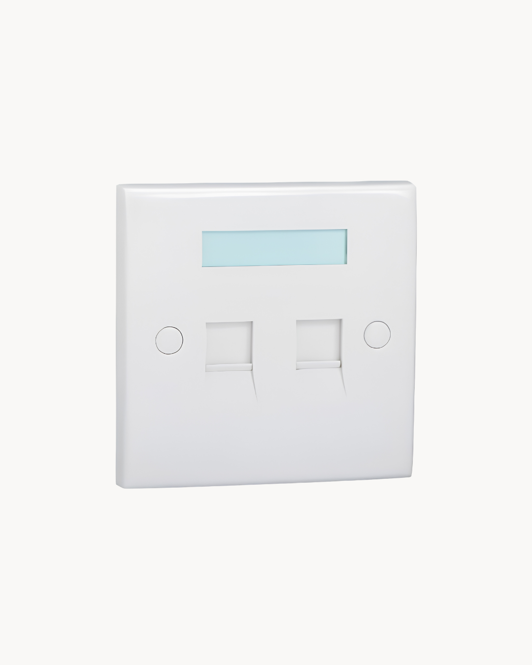Schneider BRW 2 port data plate, white