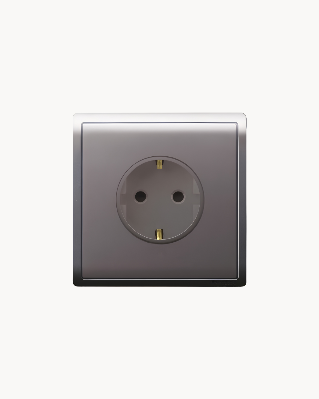 Schneider Pieno 16 A Schuko socket, Aluminium Silver